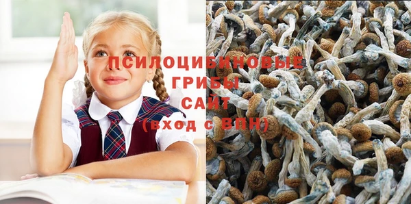 винт Алзамай