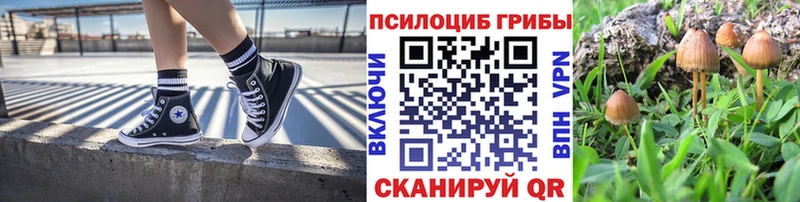 Псилоцибиновые грибы MAGIC MUSHROOMS  купить  цена  Далматово 